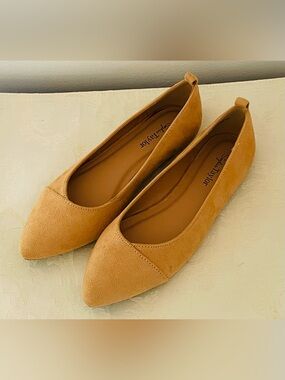 NWOT Sophia Taylor Vegan Friendly Nude Pointed Toe Flats Size 6M